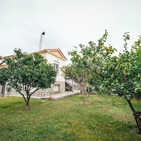 Apartamento Dafni's *